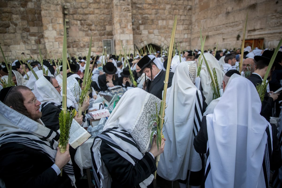 הושענא רבה ברחבת הכותל המערבי. תיעוד