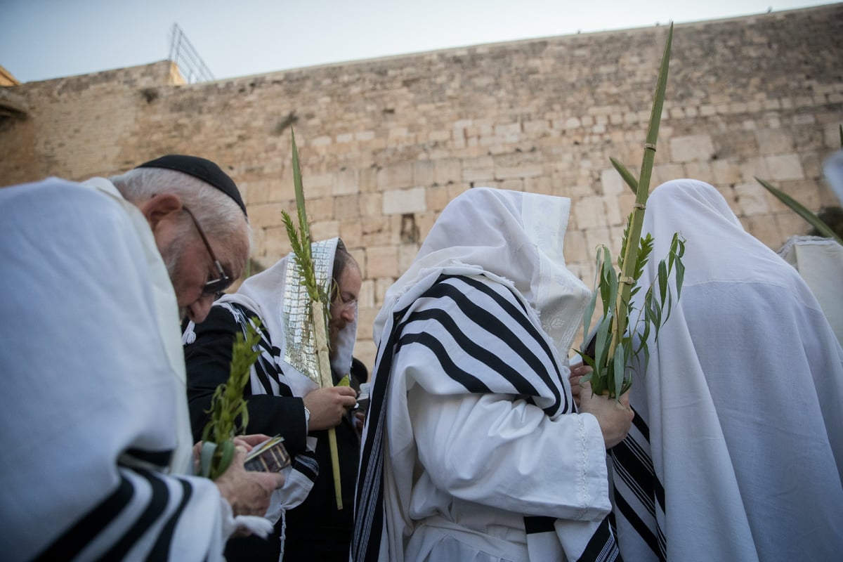 הושענא רבה ברחבת הכותל המערבי. תיעוד