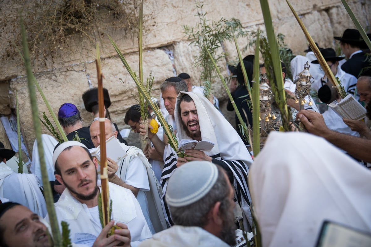 הושענא רבה ברחבת הכותל המערבי. תיעוד