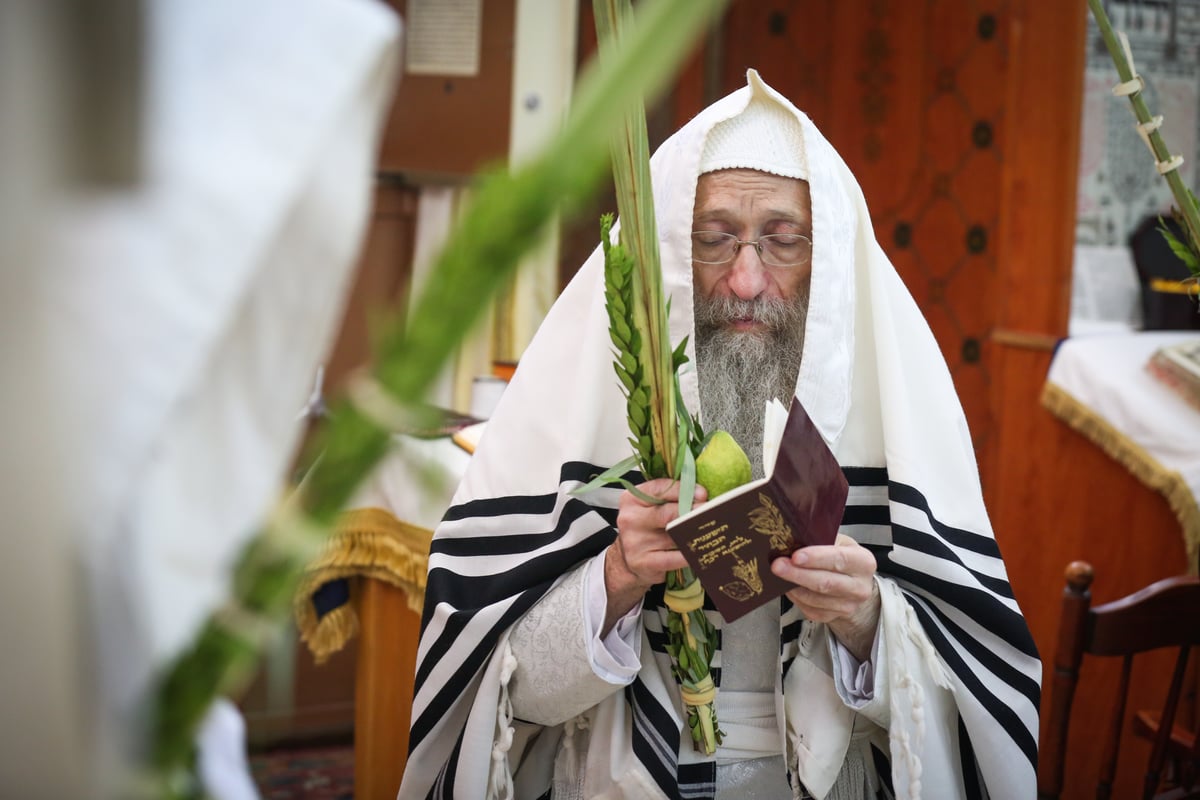 צפו בתיעוד: הושענא רבה במירון ובצפת