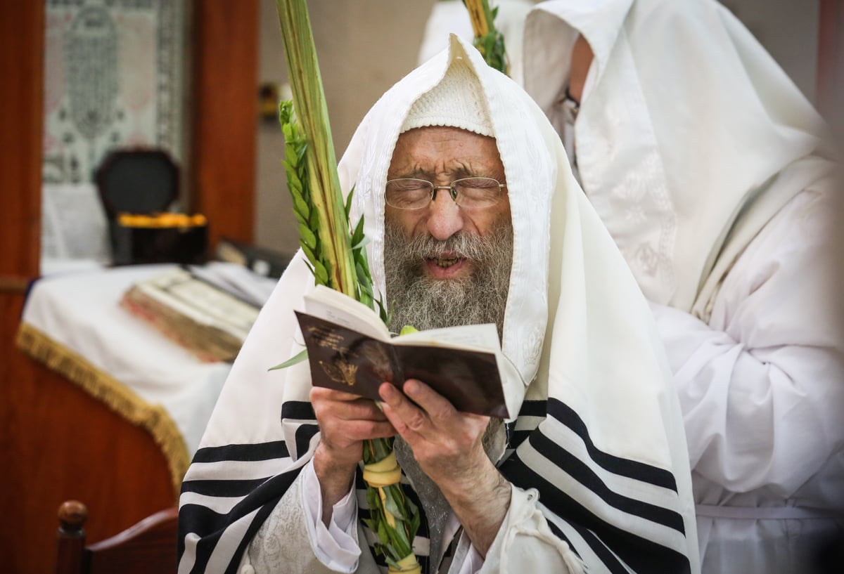 צפו בתיעוד: הושענא רבה במירון ובצפת