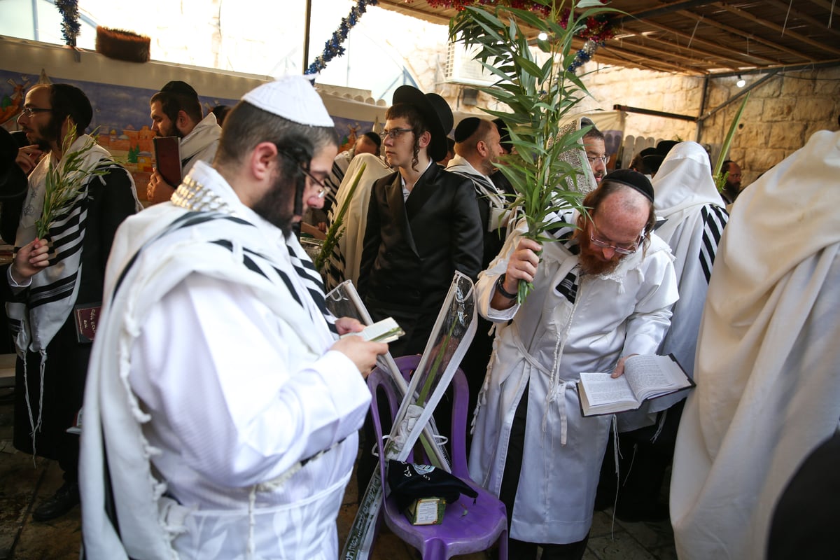 צפו בתיעוד: הושענא רבה במירון ובצפת