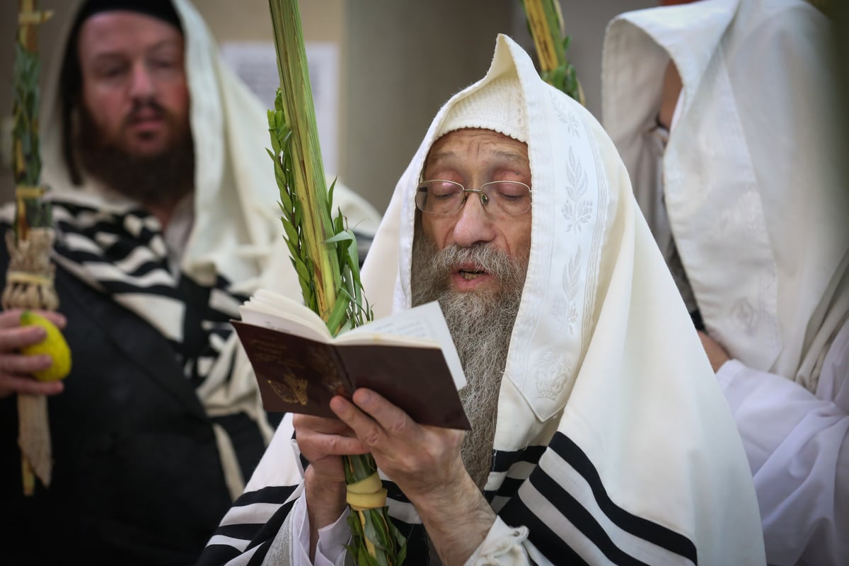 צפו בתיעוד: הושענא רבה במירון ובצפת