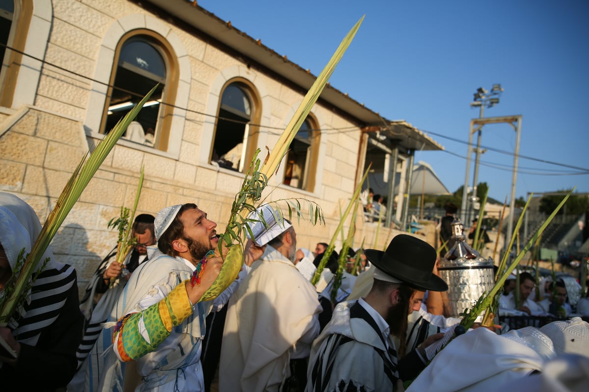 צפו בתיעוד: הושענא רבה במירון ובצפת