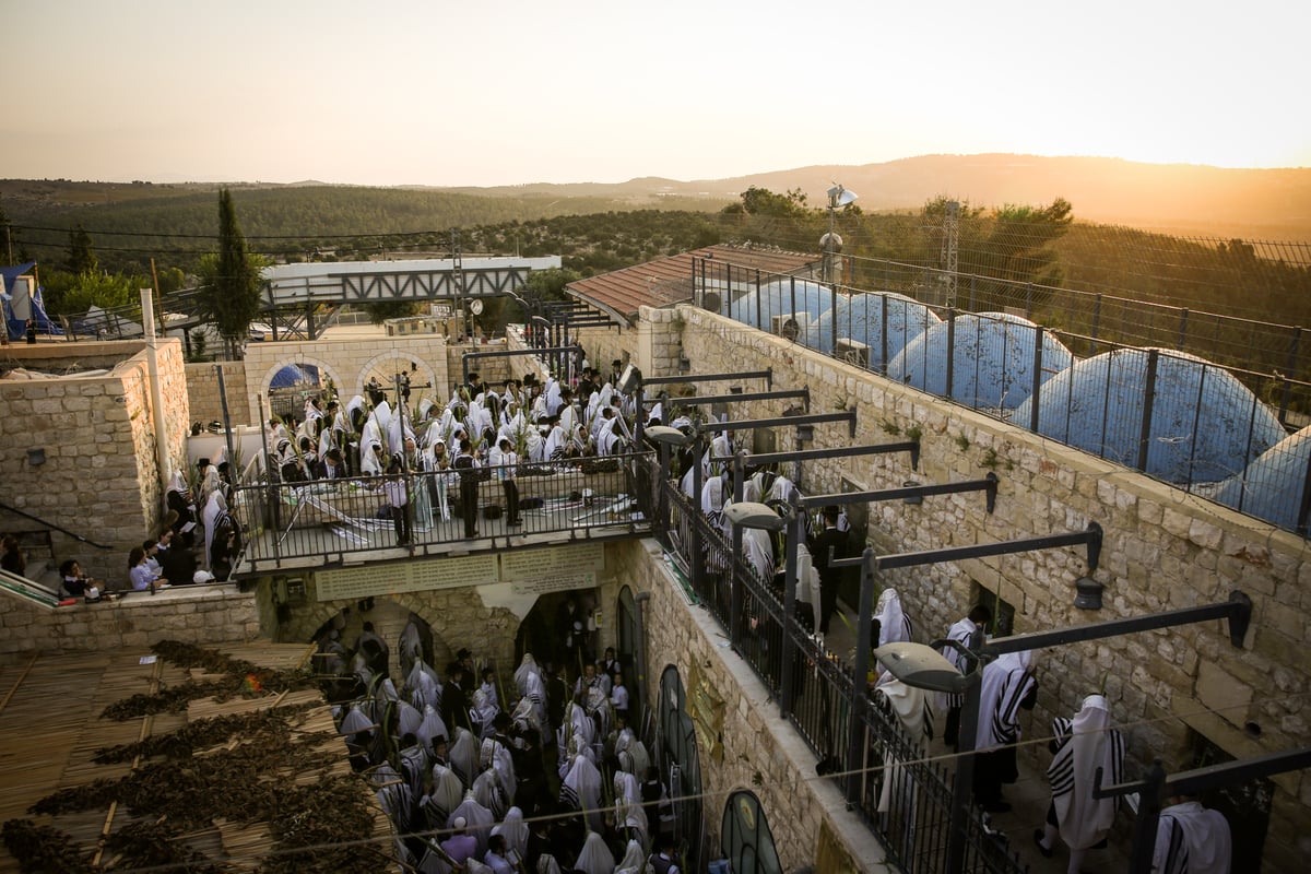 צפו בתיעוד: הושענא רבה במירון ובצפת