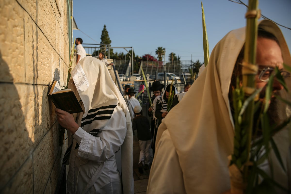 צפו בתיעוד: הושענא רבה במירון ובצפת