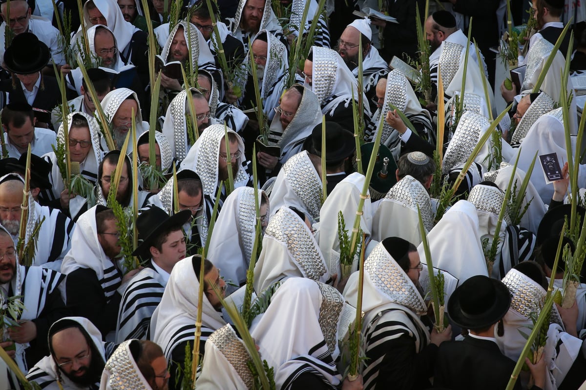 צפו בתיעוד: הושענא רבה במירון ובצפת