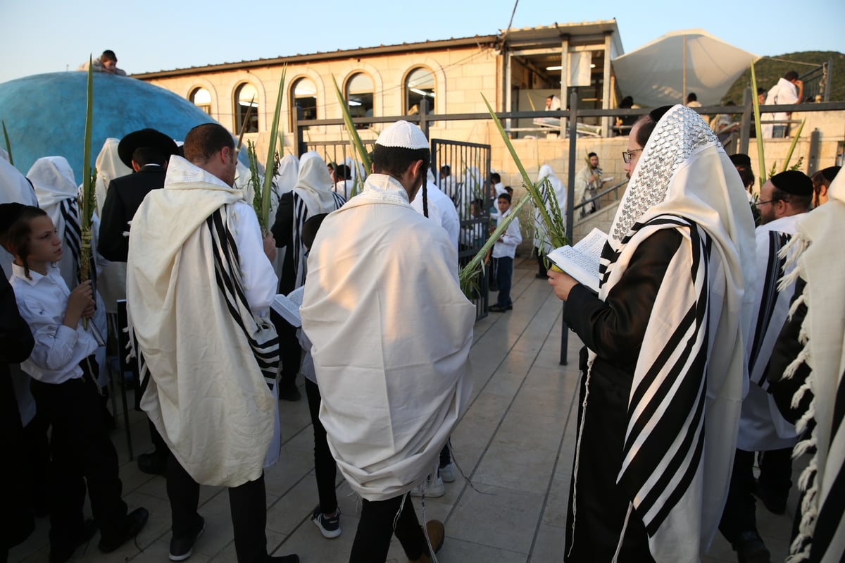 צפו בתיעוד: הושענא רבה במירון ובצפת