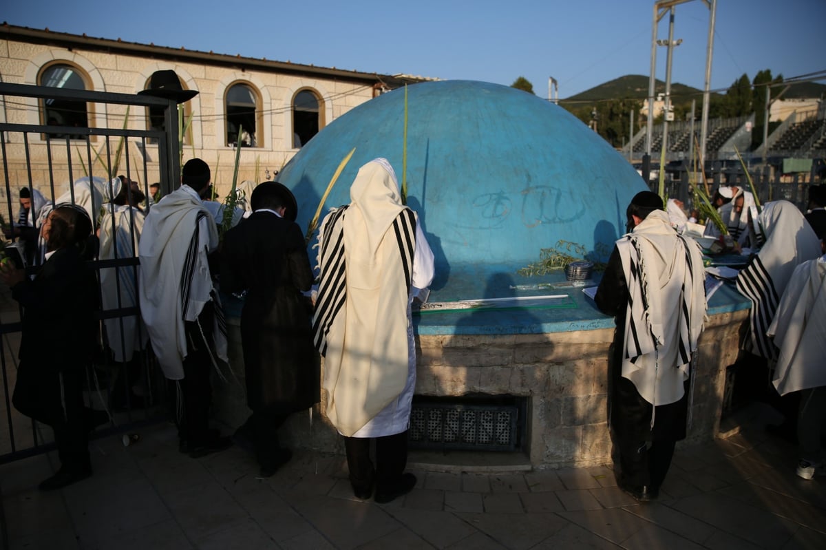 צפו בתיעוד: הושענא רבה במירון ובצפת