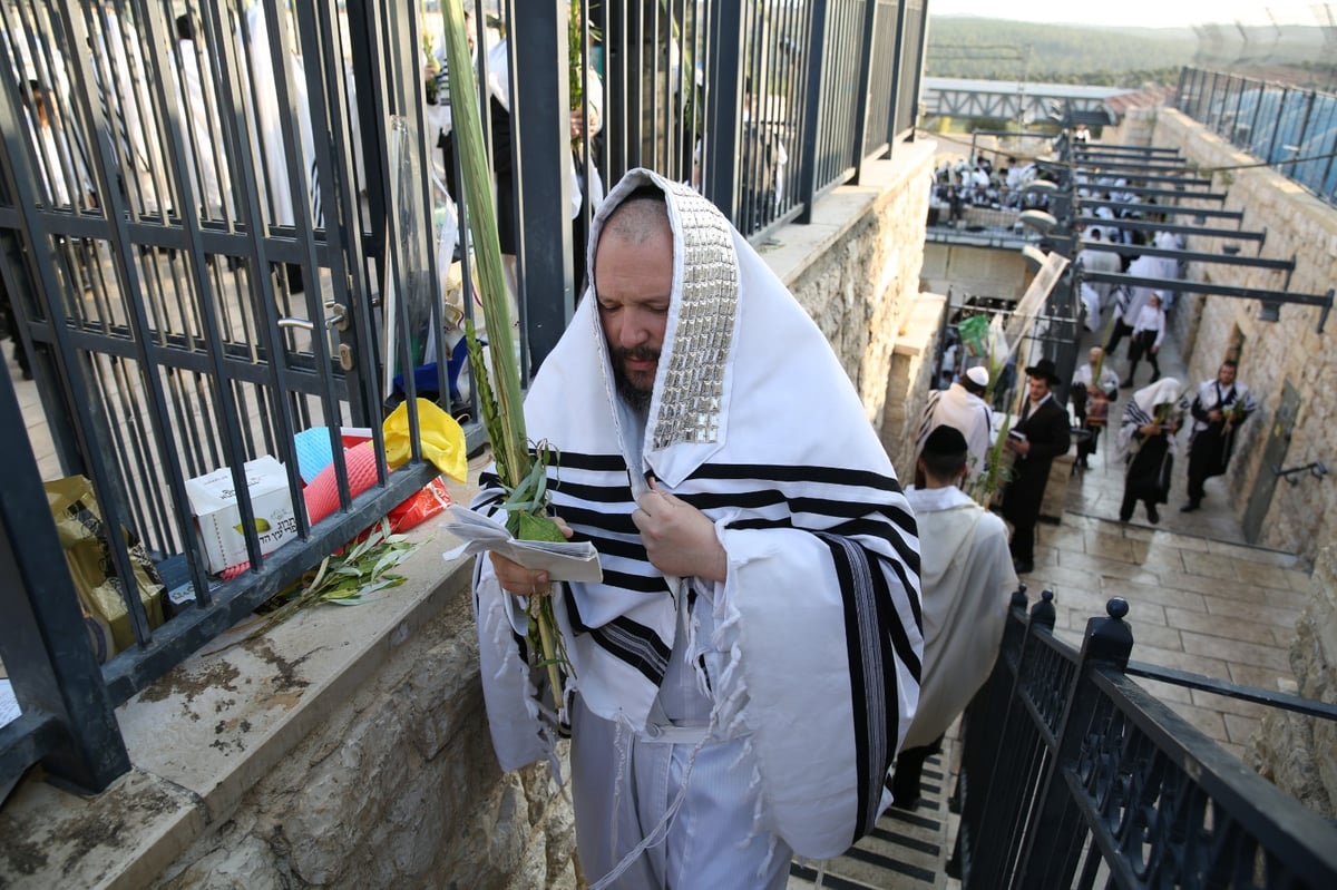 צפו בתיעוד: הושענא רבה במירון ובצפת