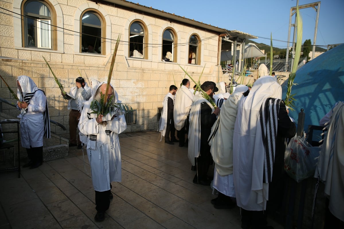 צפו בתיעוד: הושענא רבה במירון ובצפת