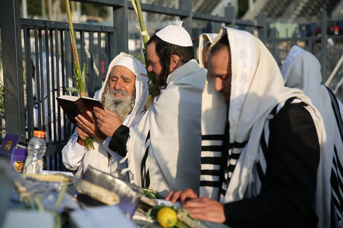 צפו בתיעוד: הושענא רבה במירון ובצפת