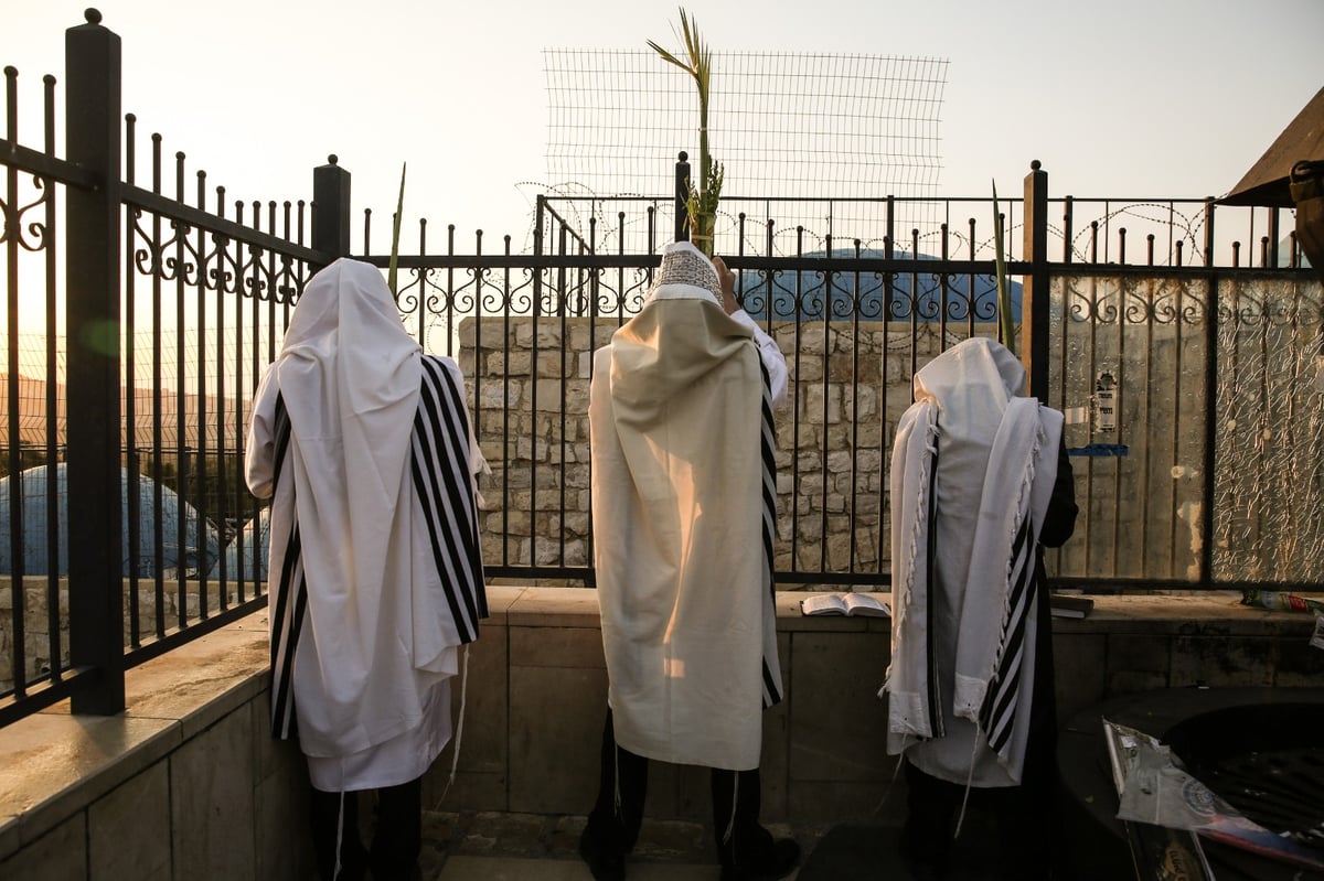 צפו בתיעוד: הושענא רבה במירון ובצפת