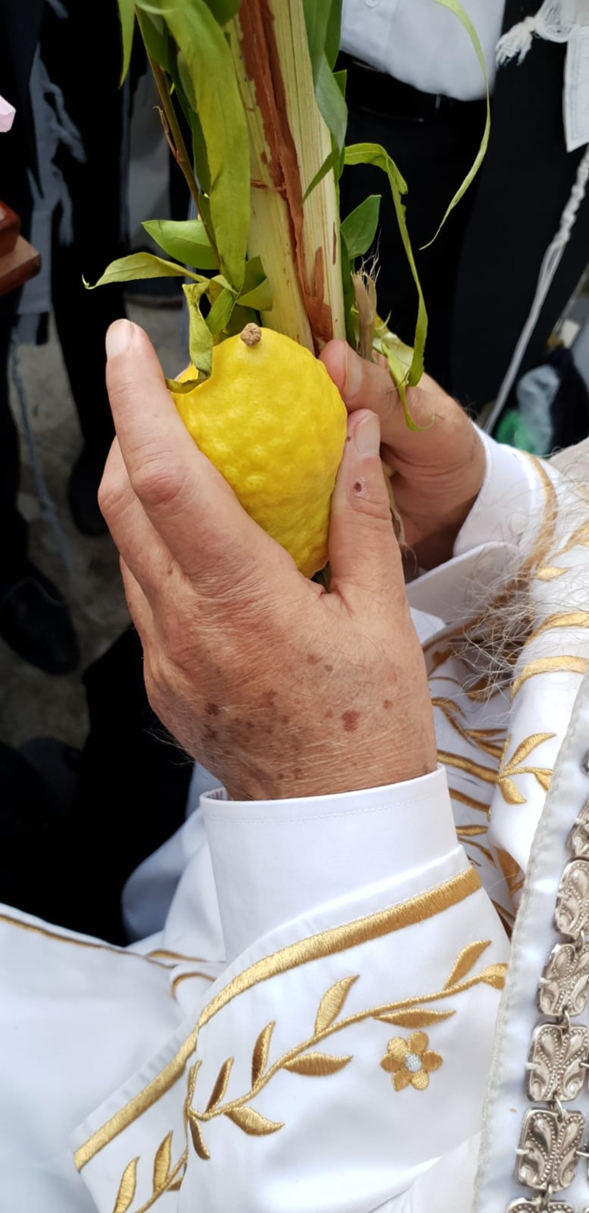 תיעוד: הראשל"צ הגאון רבי אליהו בקשי דורון בכותל