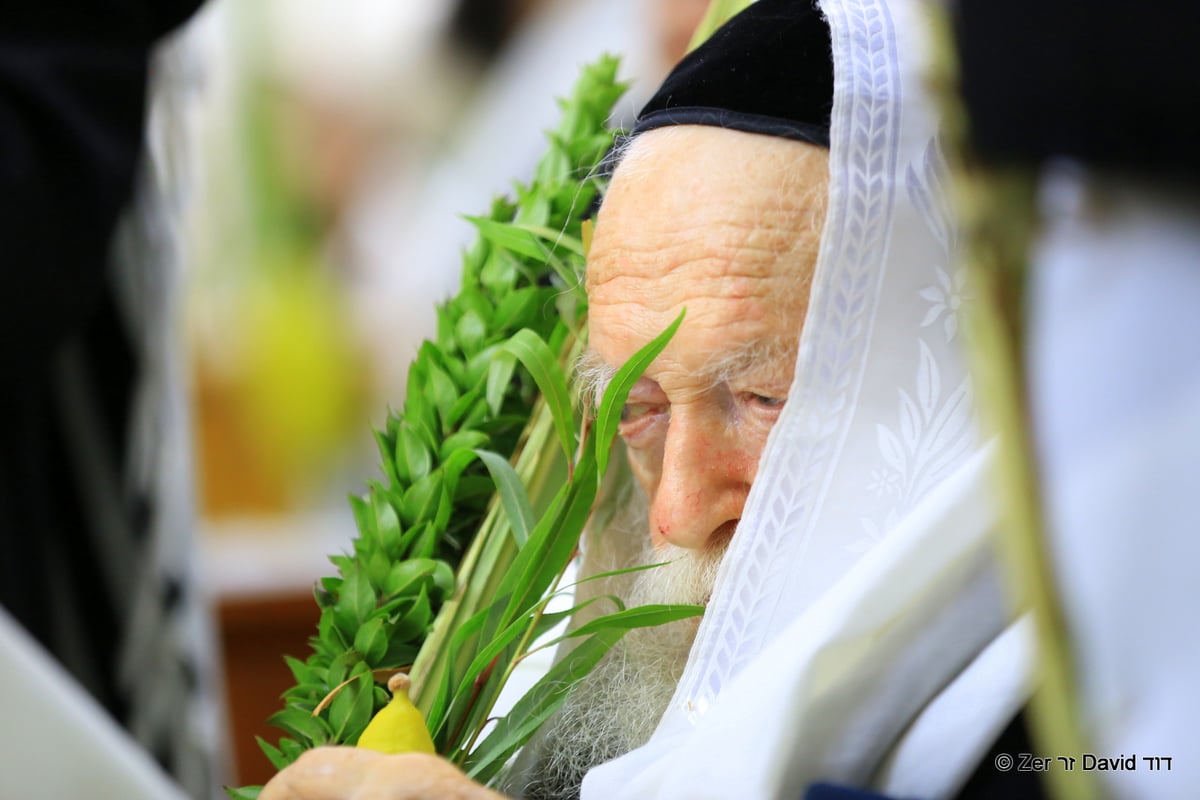 מרן הגר"ח קנייבסקי בהושענא רבה • תיעוד