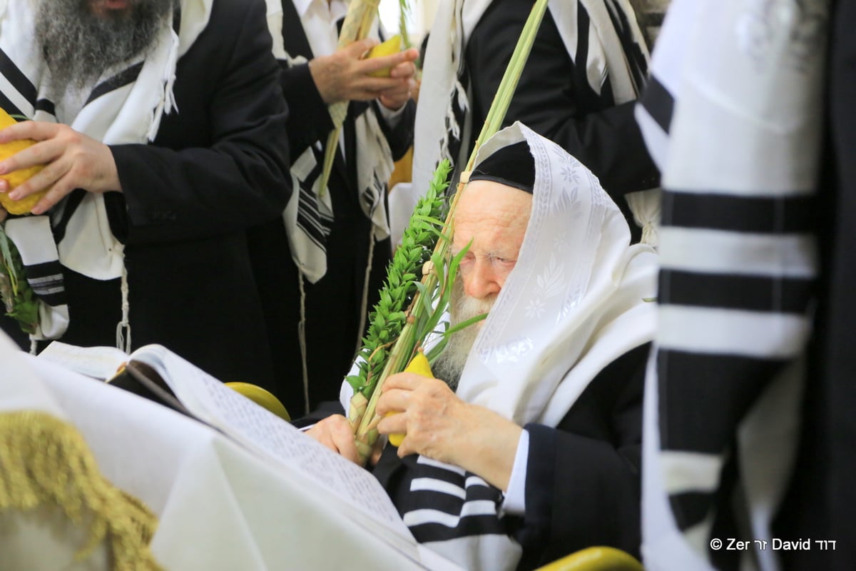 מרן הגר"ח קנייבסקי בהושענא רבה • תיעוד