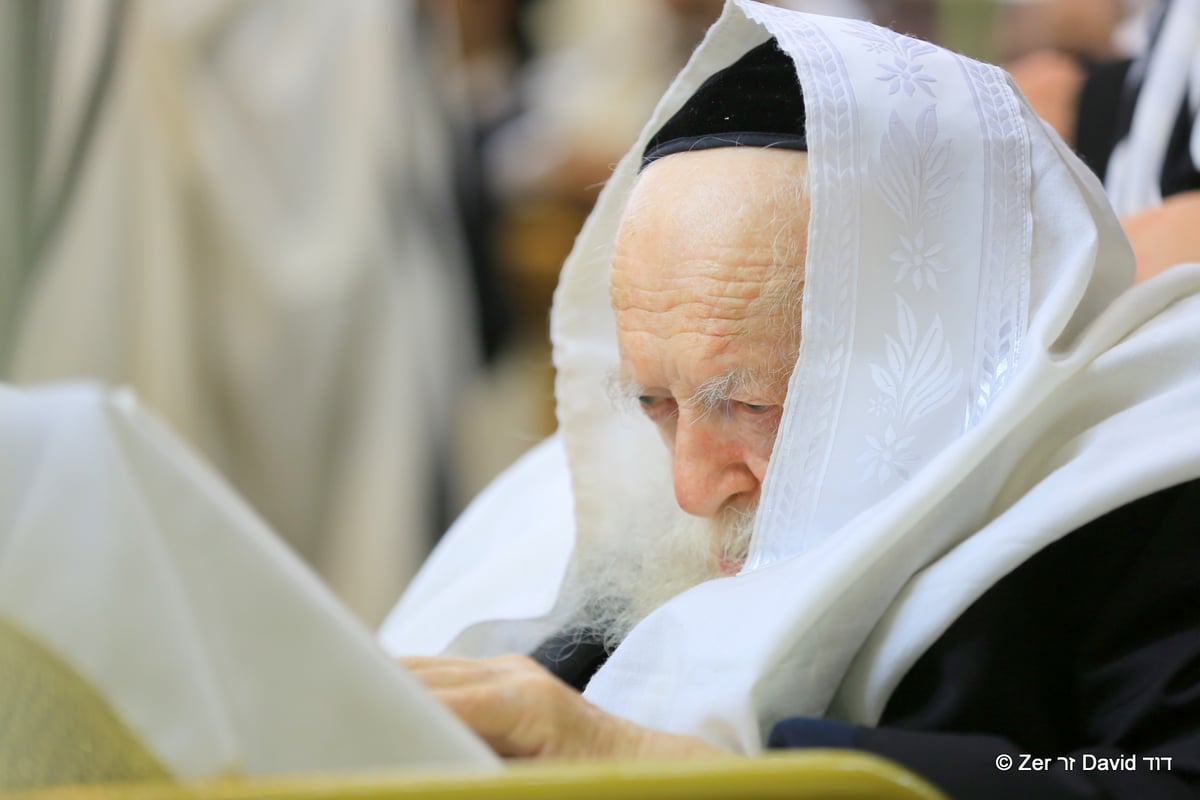 מרן הגר"ח קנייבסקי בהושענא רבה • תיעוד