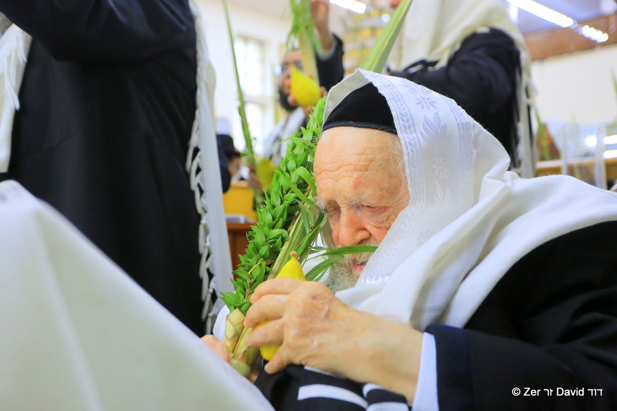 מרן הגר"ח קנייבסקי בהושענא רבה • תיעוד