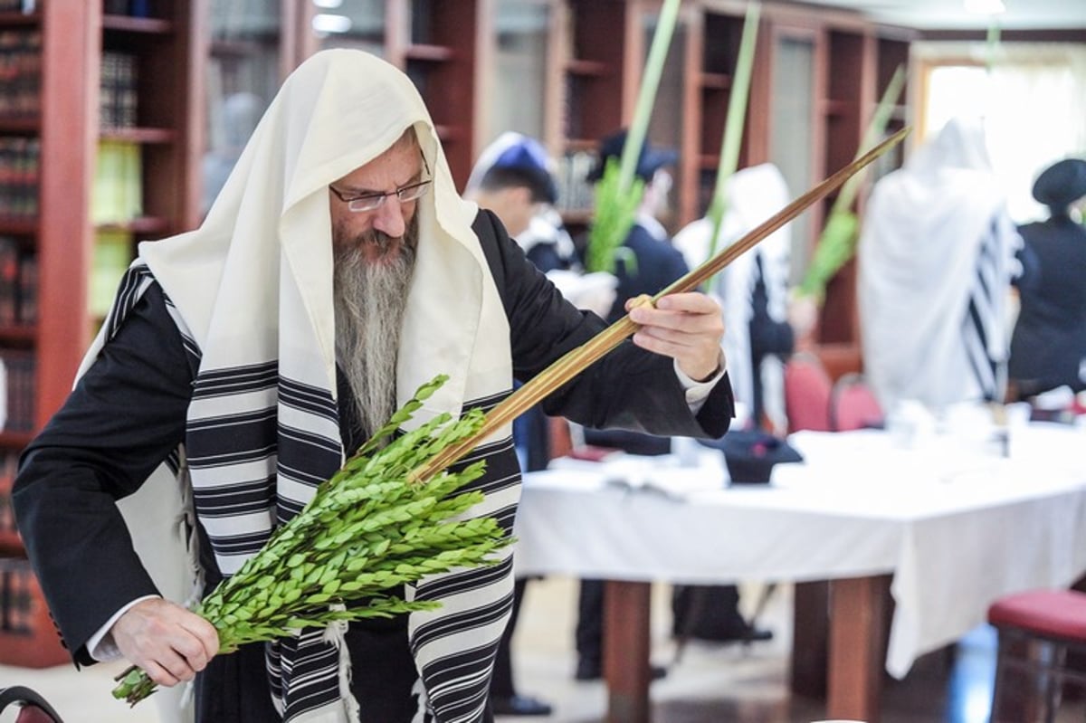 וחותמנו לחיים: הושענא רבה במוסקבה. צפו