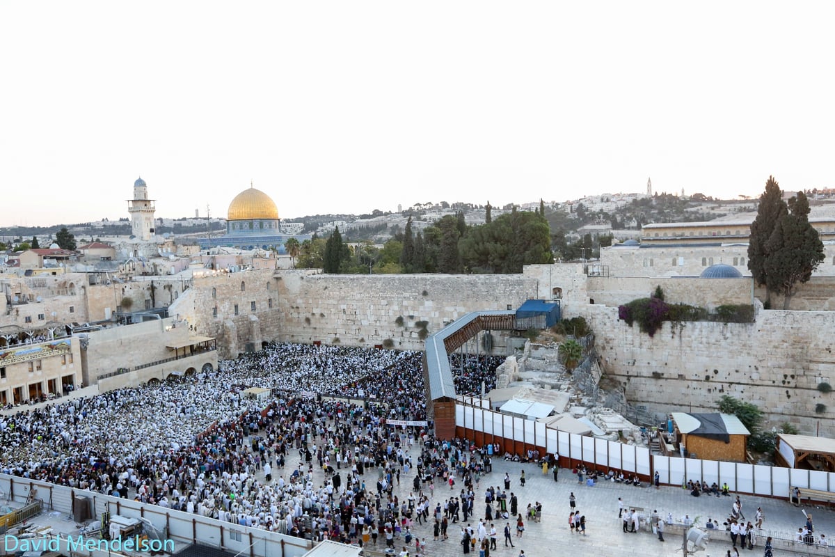 הושענא רבה: 'השיליצים' באש התורה. תיעוד