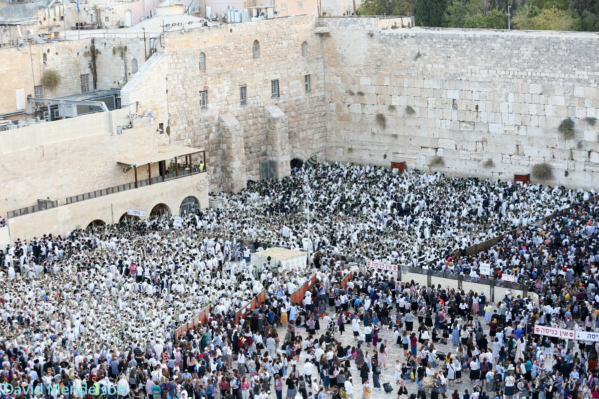 הושענא רבה: 'השיליצים' באש התורה. תיעוד