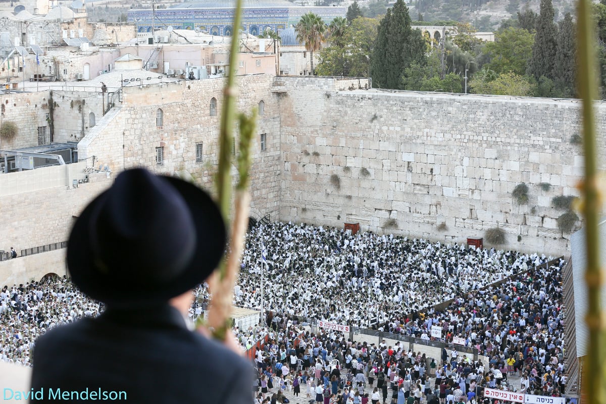 הושענא רבה: 'השיליצים' באש התורה. תיעוד