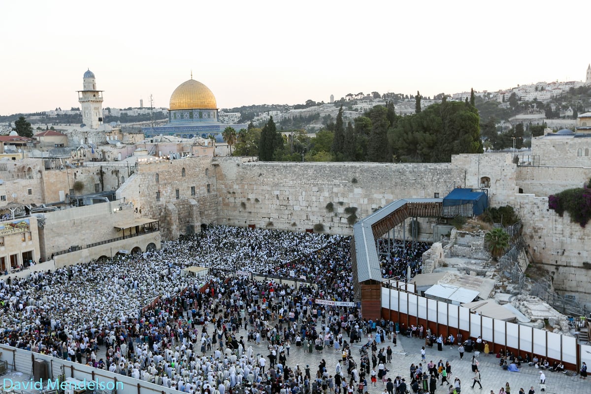 הושענא רבה: 'השיליצים' באש התורה. תיעוד