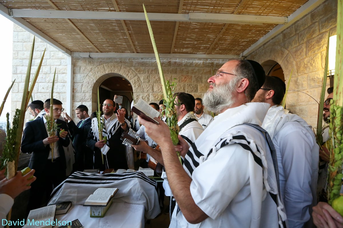 הושענא רבה: 'השיליצים' באש התורה. תיעוד