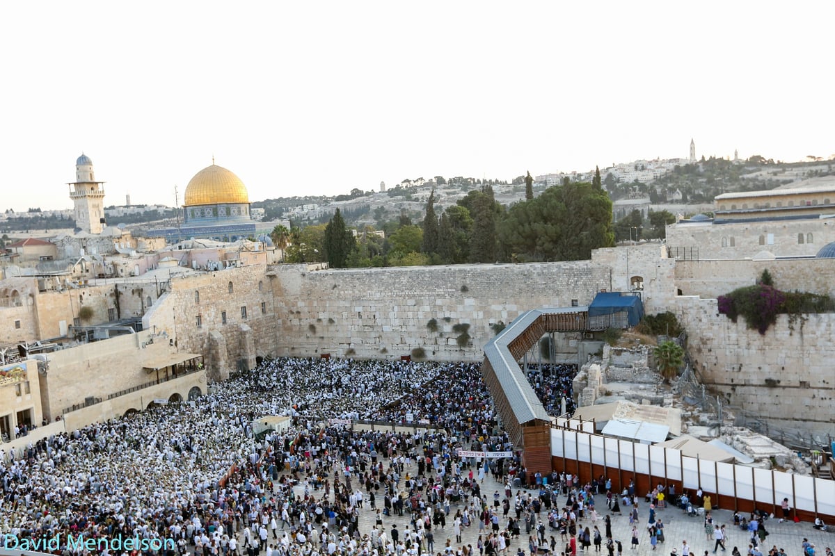 הושענא רבה: 'השיליצים' באש התורה. תיעוד