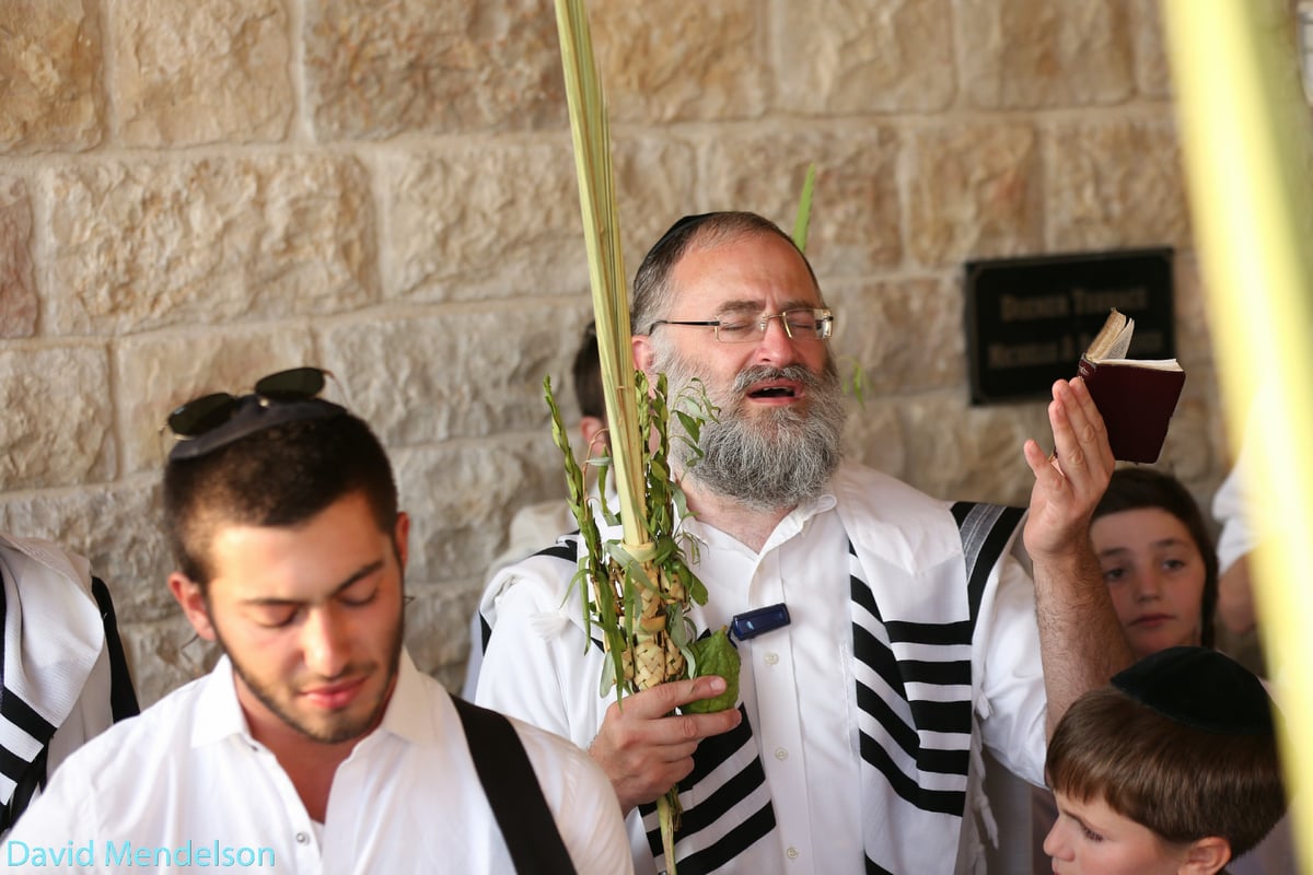 הושענא רבה: 'השיליצים' באש התורה. תיעוד