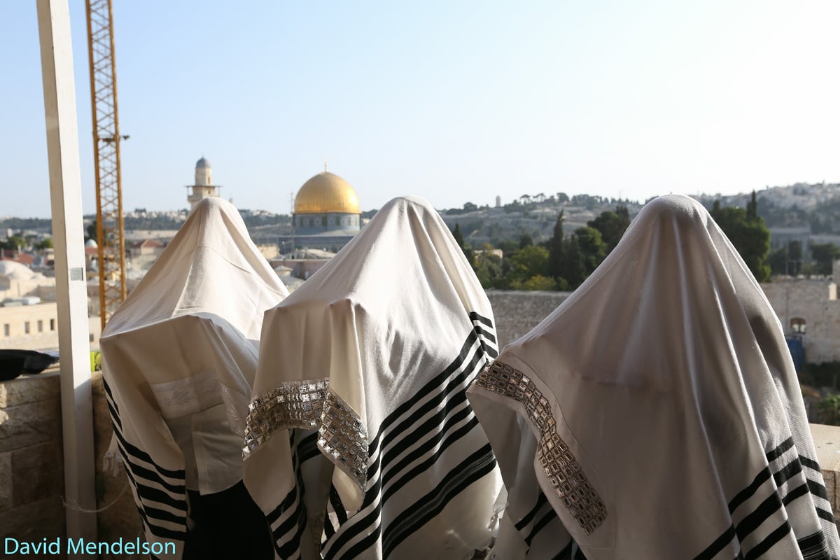 הושענא רבה: 'השיליצים' באש התורה. תיעוד