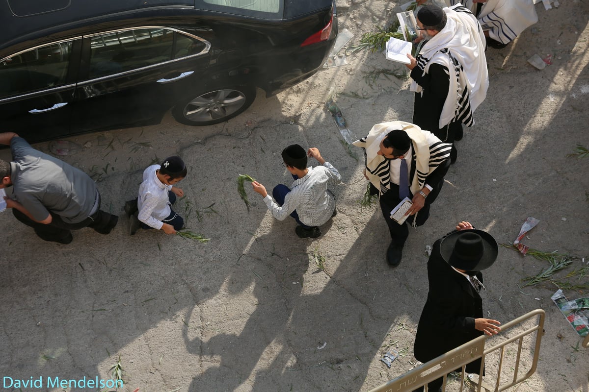 הושענא רבה: 'השיליצים' באש התורה. תיעוד