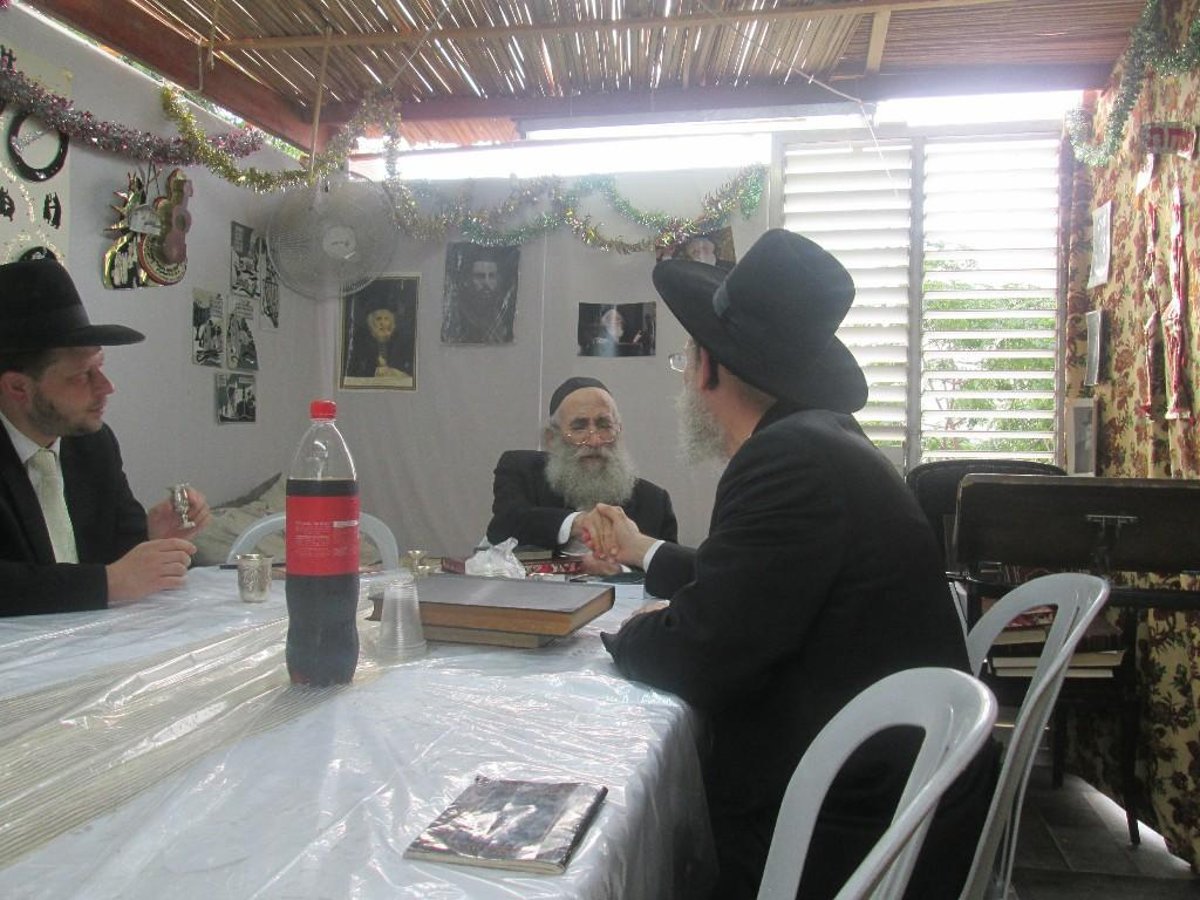 תיעוד: נציגי 'בני תורה' בבני ברק ב"לחיים"