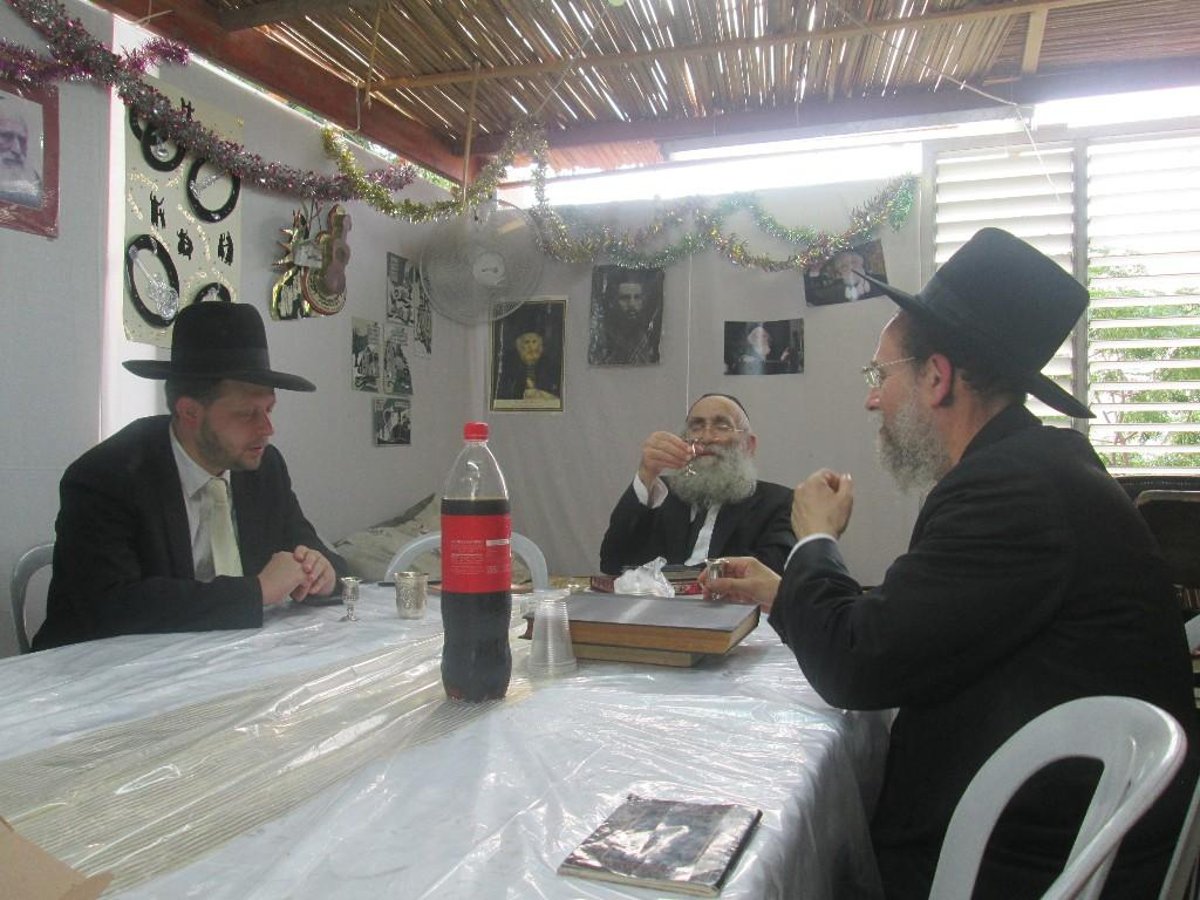 תיעוד: נציגי 'בני תורה' בבני ברק ב"לחיים"