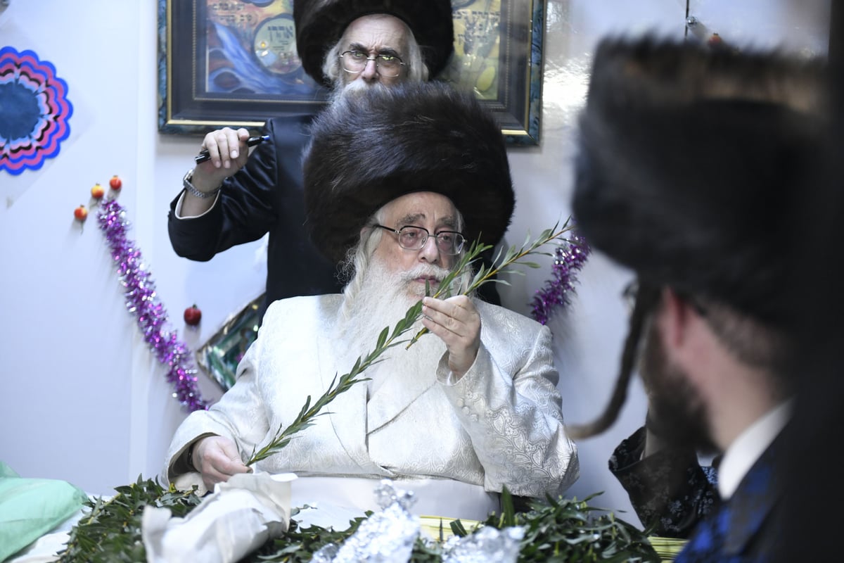 זריקת התפוחים וההקפות: "שמחת תורה" בצאנז