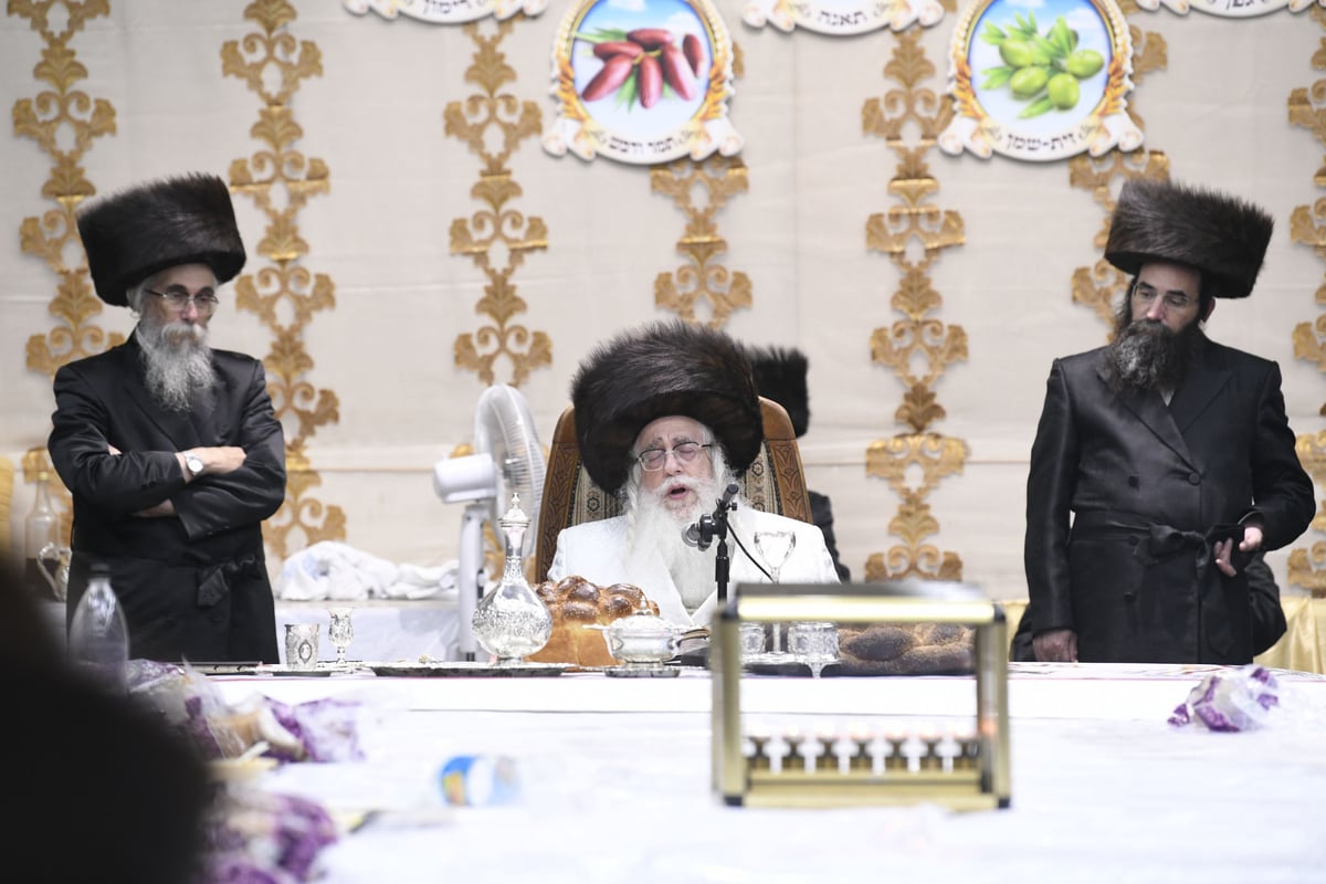 זריקת התפוחים וההקפות: "שמחת תורה" בצאנז