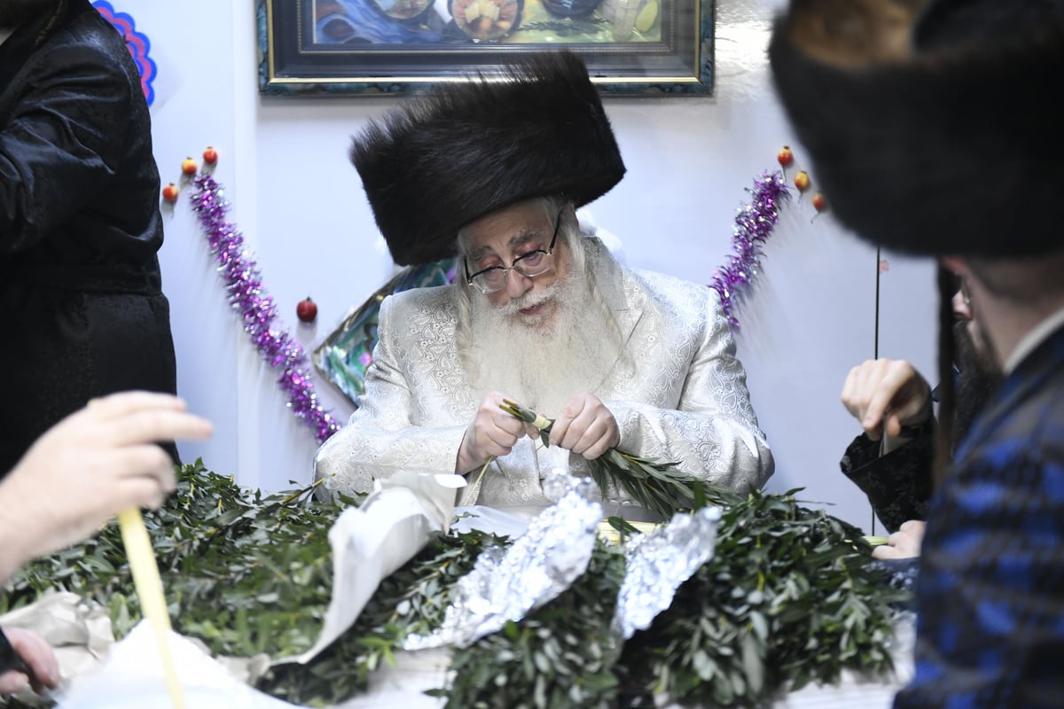 זריקת התפוחים וההקפות: "שמחת תורה" בצאנז