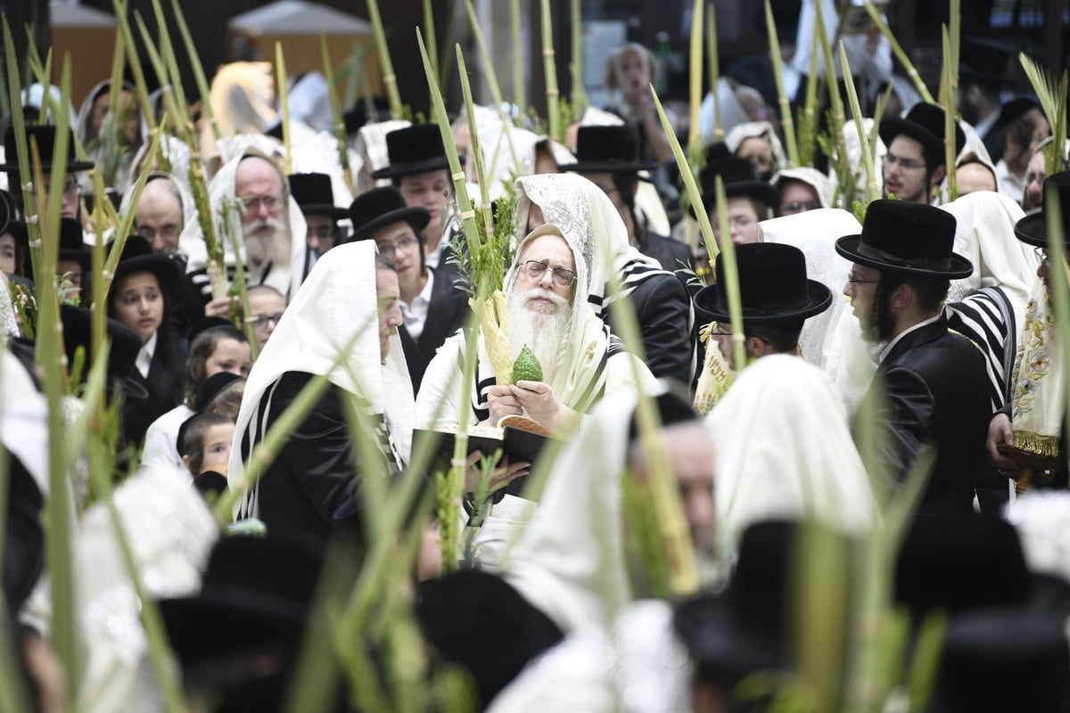 זריקת התפוחים וההקפות: "שמחת תורה" בצאנז