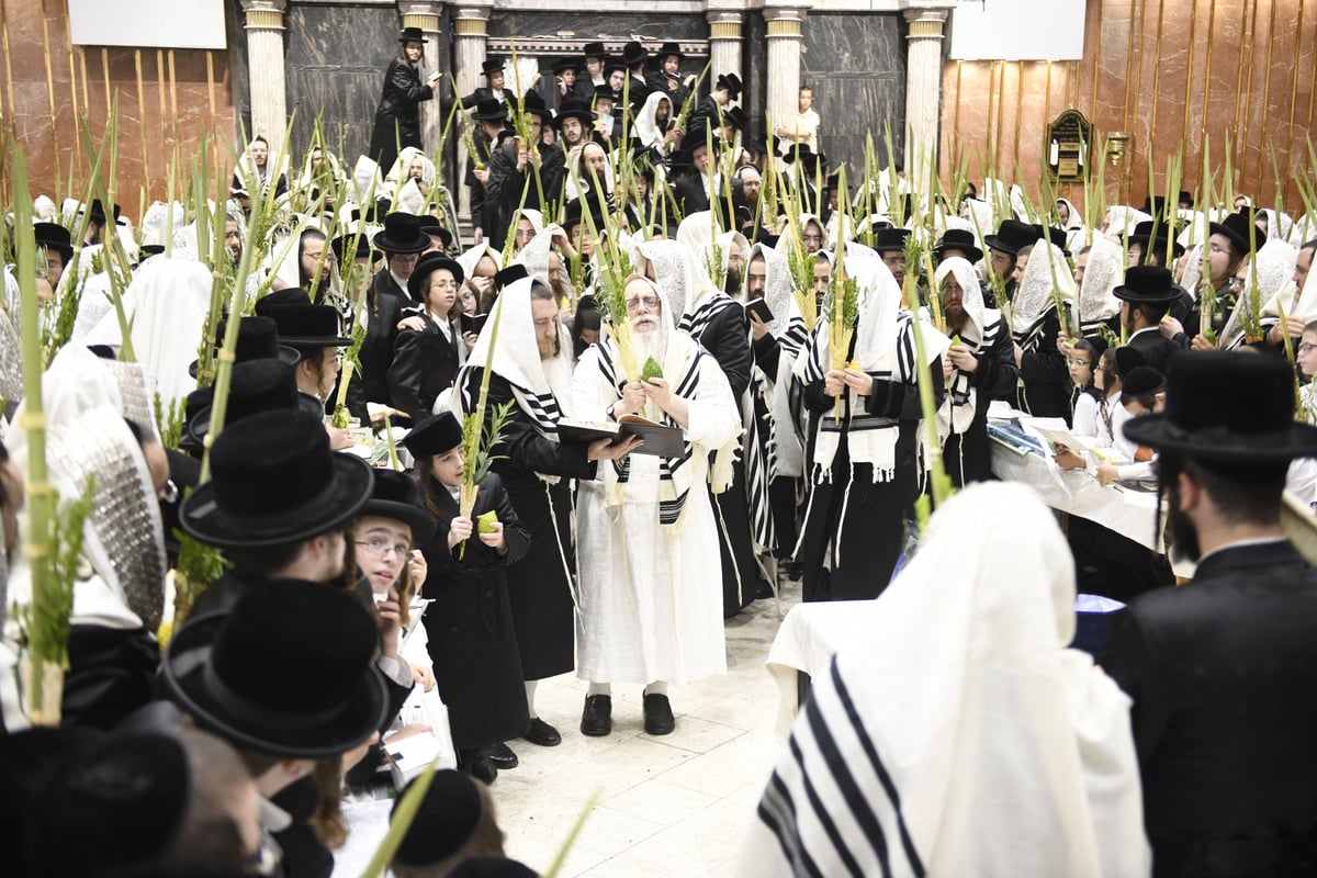 זריקת התפוחים וההקפות: "שמחת תורה" בצאנז