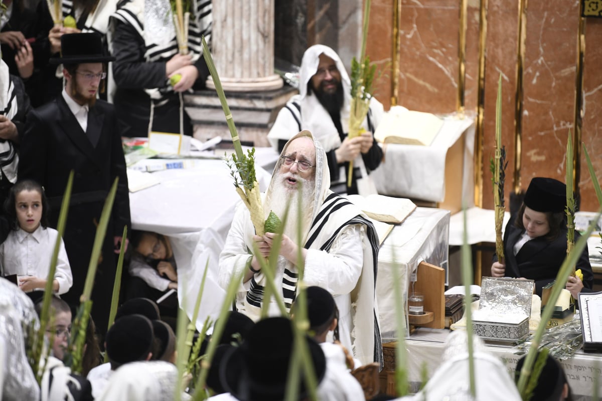 זריקת התפוחים וההקפות: "שמחת תורה" בצאנז