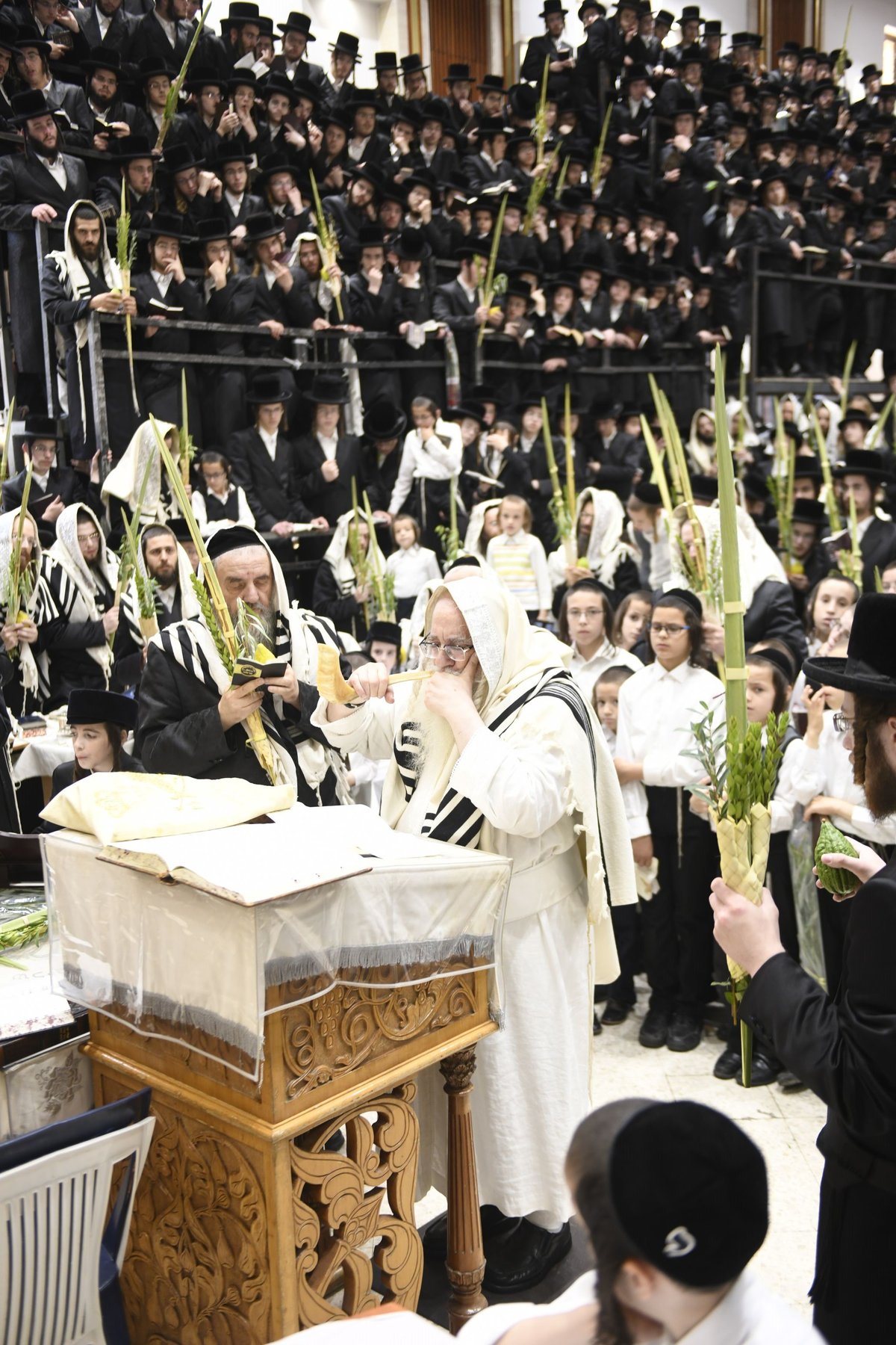 זריקת התפוחים וההקפות: "שמחת תורה" בצאנז