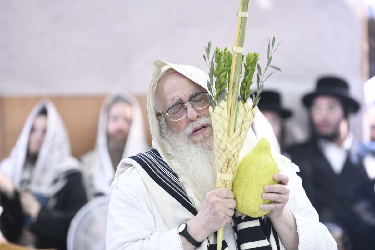 זריקת התפוחים וההקפות: "שמחת תורה" בצאנז