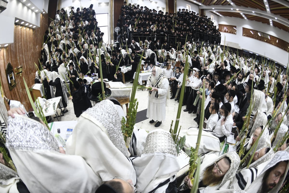 זריקת התפוחים וההקפות: "שמחת תורה" בצאנז