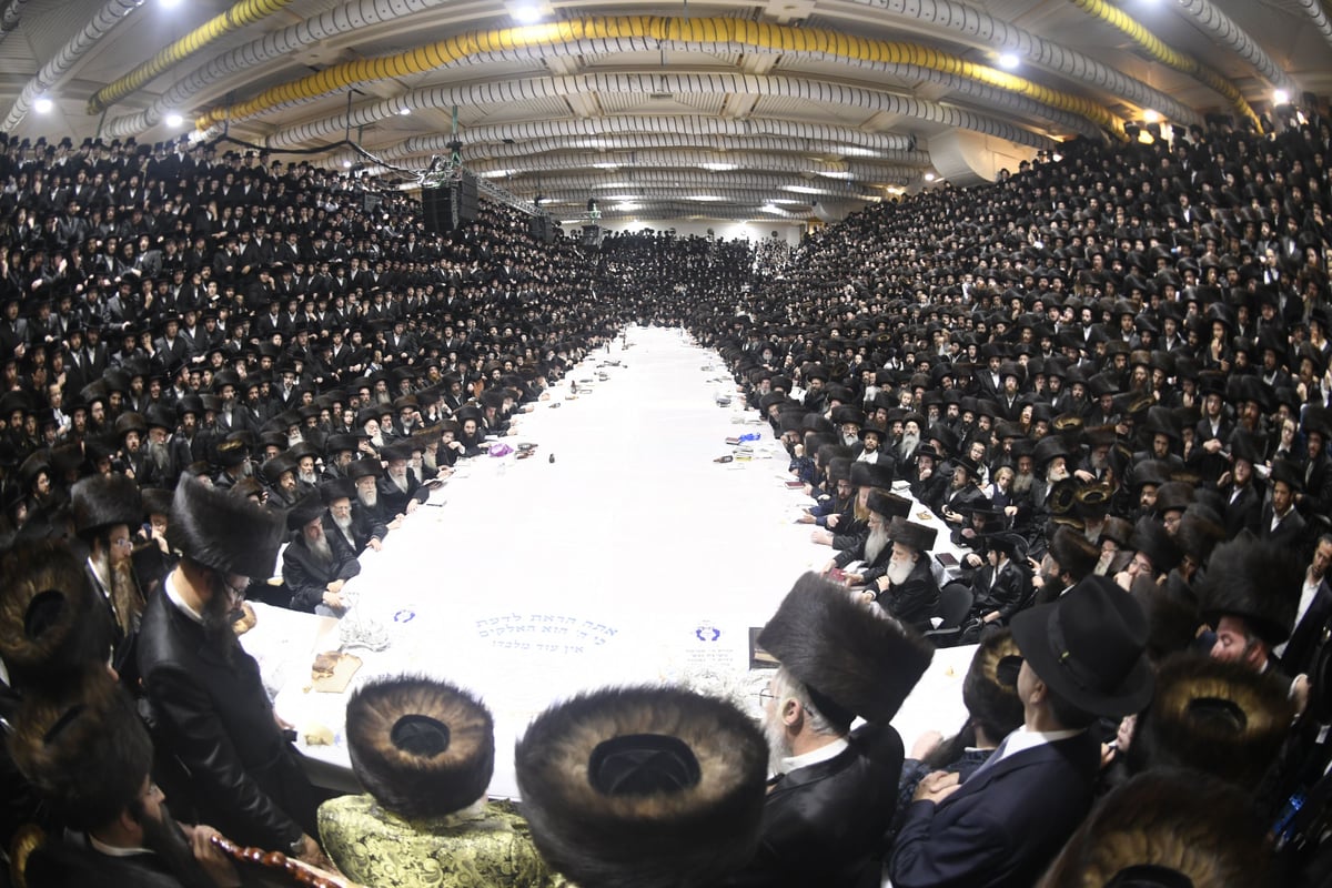 זריקת התפוחים וההקפות: "שמחת תורה" בצאנז