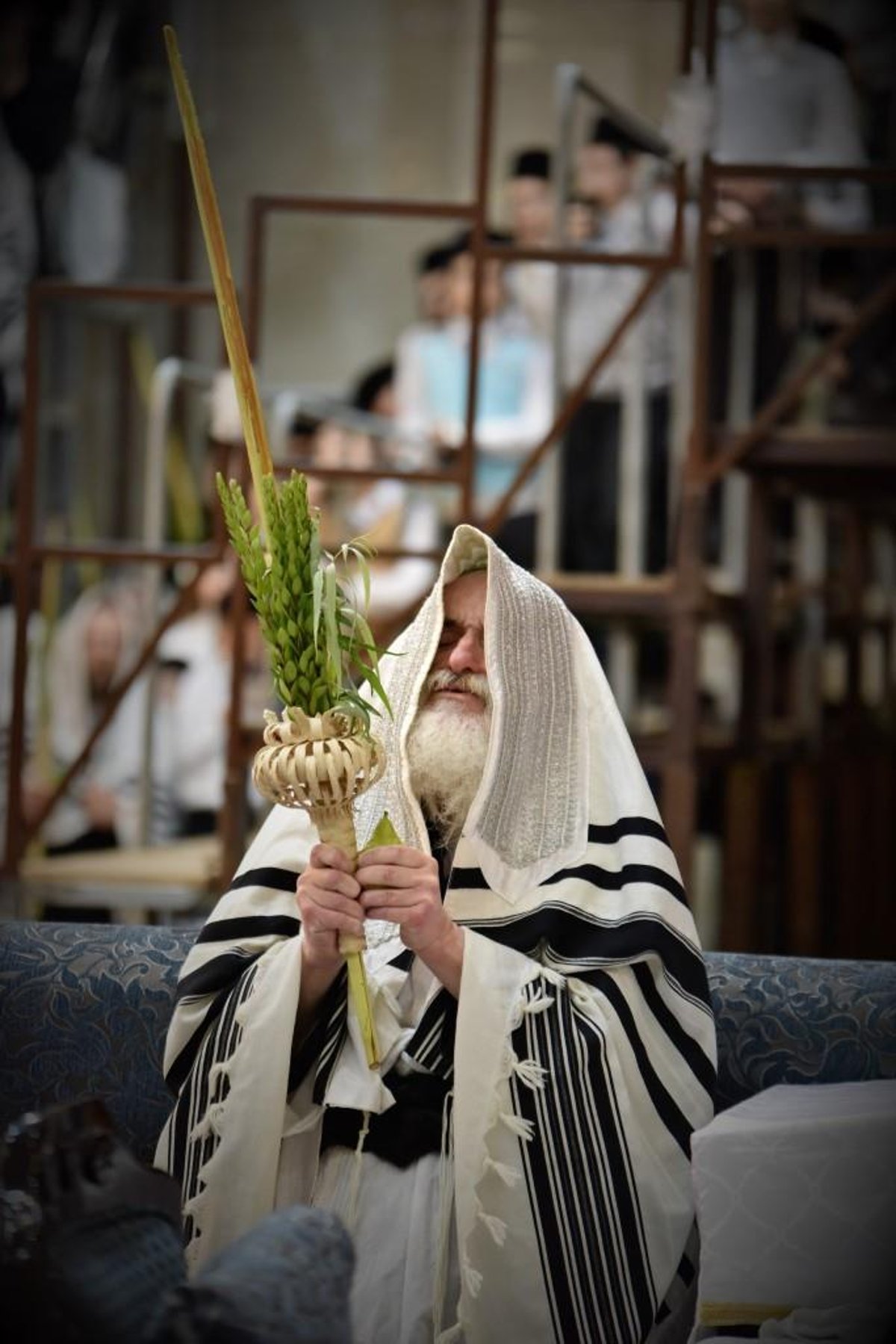 תיעוד מסכם: רגעי השמחה בסוכות בויז'ניץ