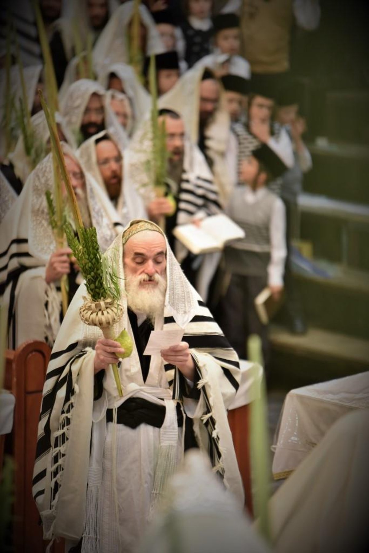 תיעוד מסכם: רגעי השמחה בסוכות בויז'ניץ