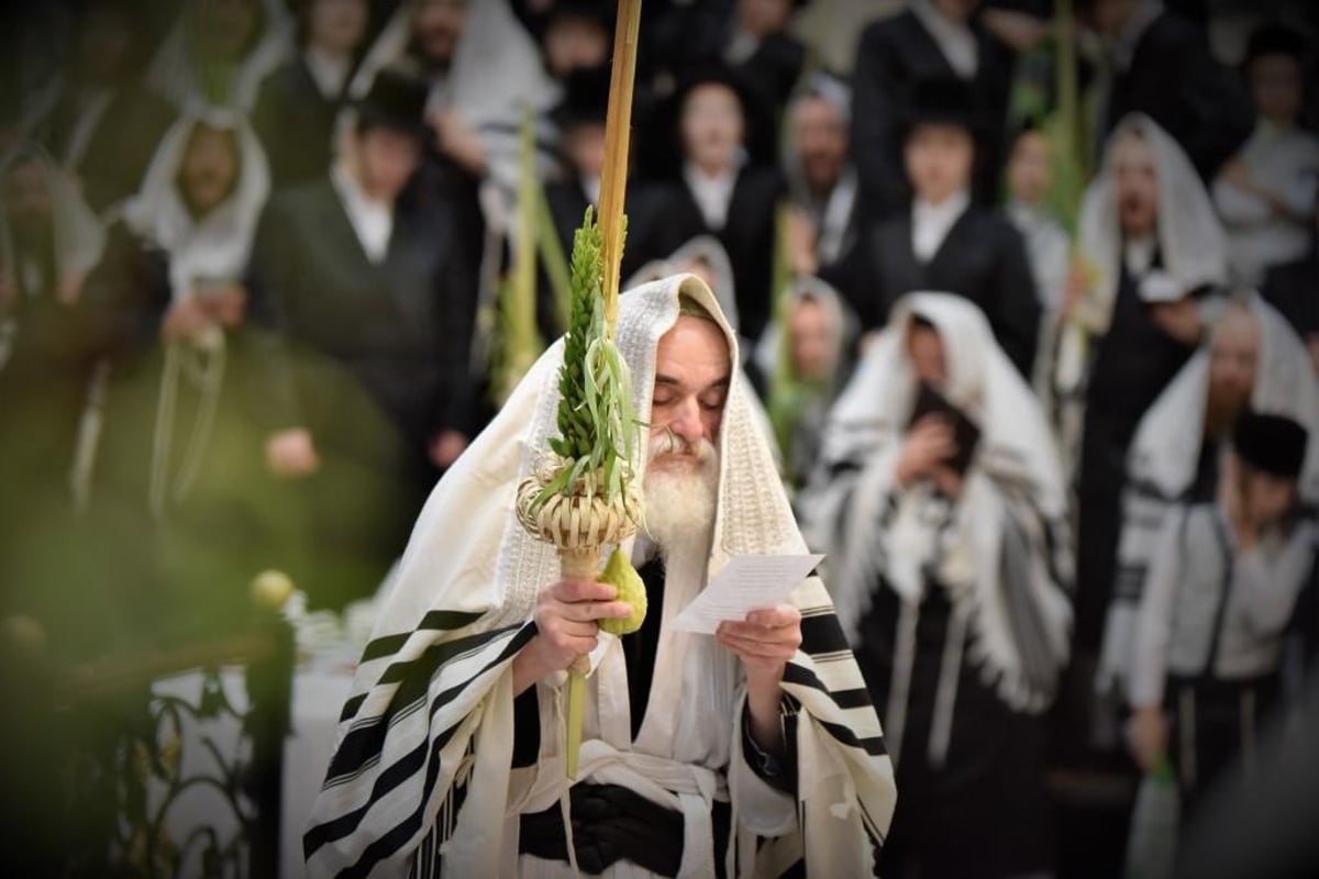 תיעוד מסכם: רגעי השמחה בסוכות בויז'ניץ