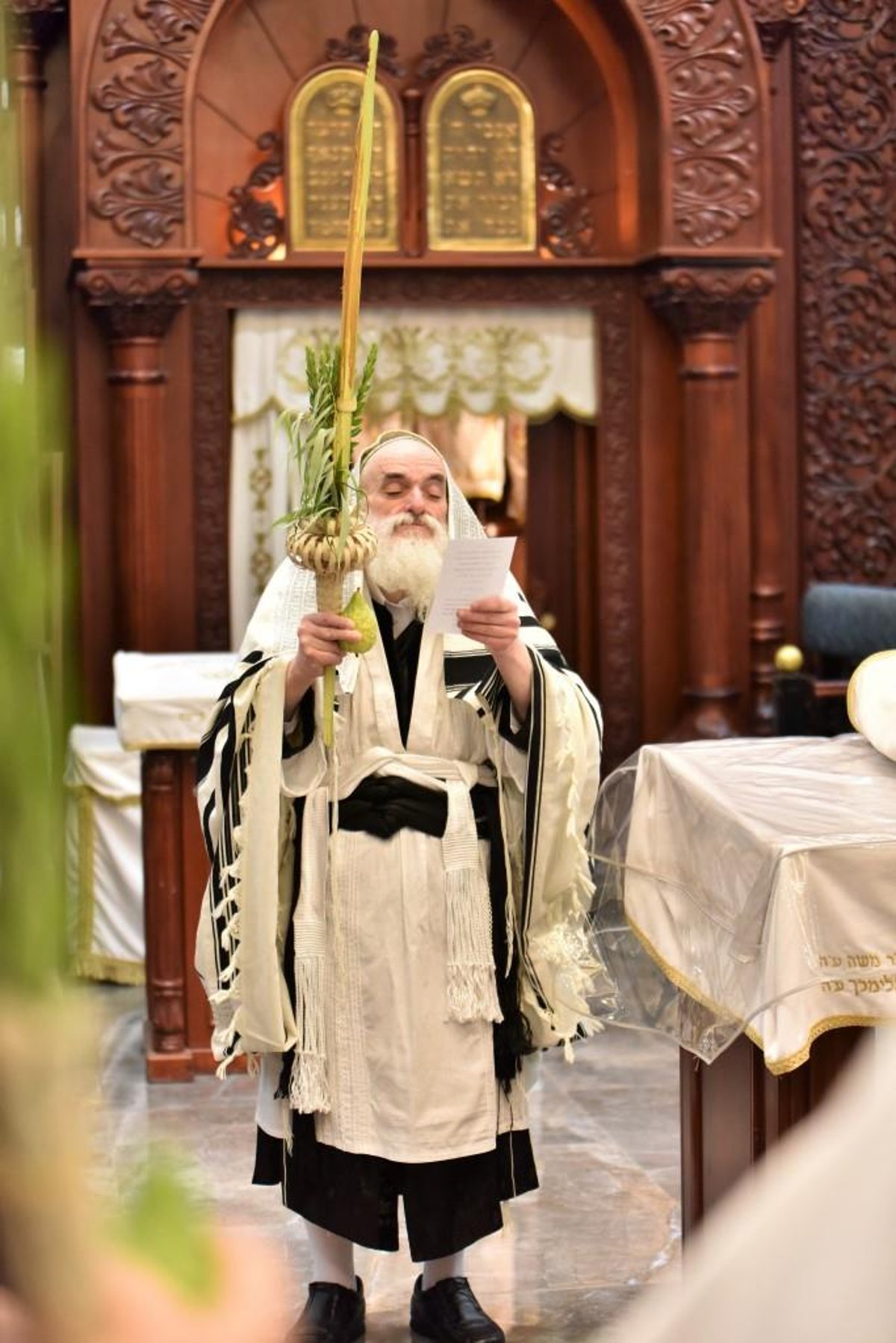 תיעוד מסכם: רגעי השמחה בסוכות בויז'ניץ