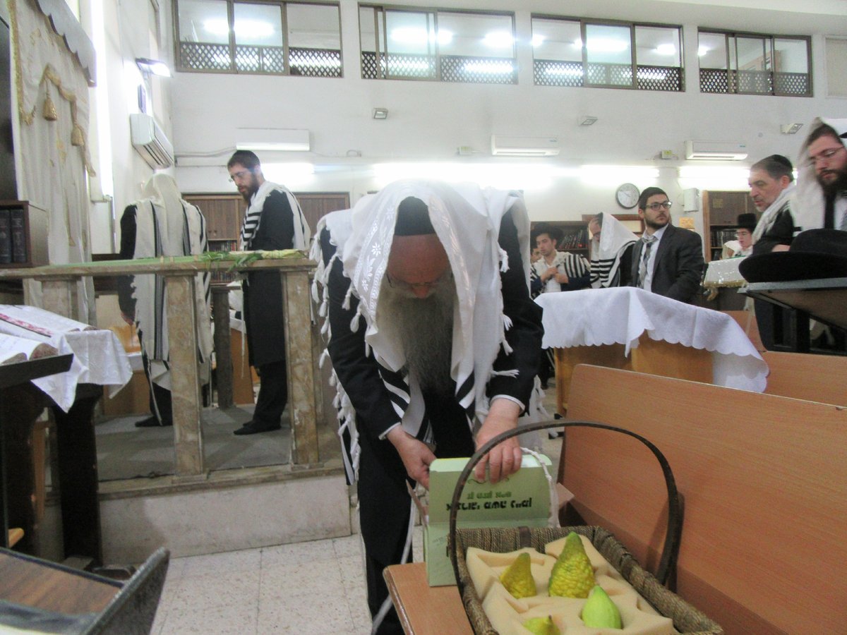 חג הסוכות אצל ראש ישיבת 'בית מאיר'. צפו