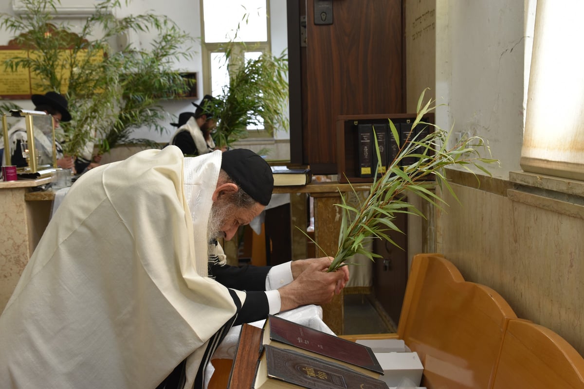 חג הסוכות אצל ראש ישיבת 'בית מאיר'. צפו